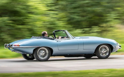 Jaguar: i 60 anni del felino dal muso lungo